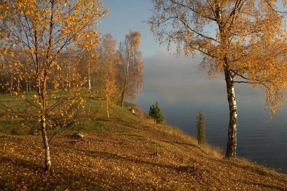 Природа с точки зрения толстого. Осенняя берёзка на Урале. Пейзаж с березами фото. С точки зрения осени фото. Сибирские пейзажи огоньки и берёзы фото краснярский край.