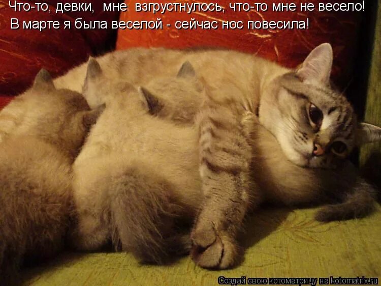 Мне весело мне очень даже весело. Что то взгрустнулось. что то мне взгрустнулось. весело мне. взгрустнулось прикол.