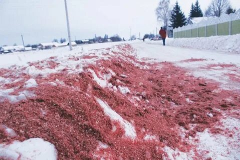 Д гирьи курская область