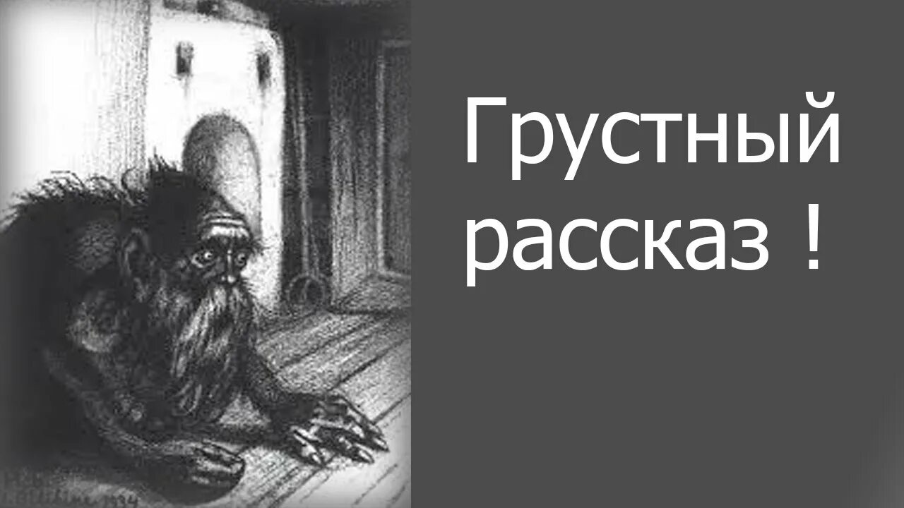 Грустный или смешной рассказ история болезни. Грустные рассказы. Грустные истории. Самый грустный рассказ. Грустные краткие истории.