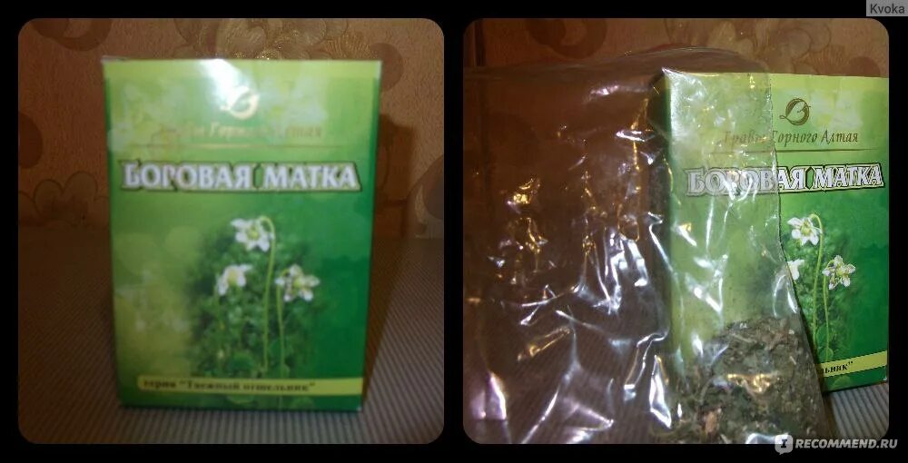 Боровая матка алтайская. Боровая матка алтайская. Боровая матка сухая. Боровая матка алтайская. Ортилия однобокая показания к применению.