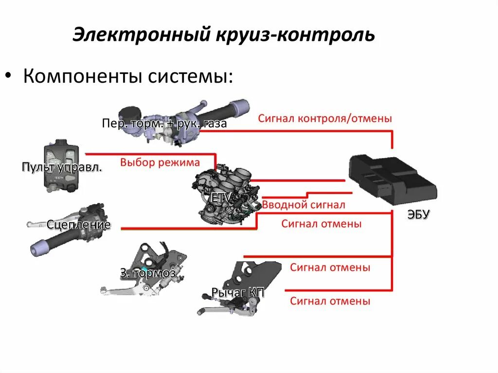 Концевик круиз контроль Citroen c8. Ситроен с5-1 круиз контроль. Круиз контроль механизм управления заслонкой. Соленоид круиз контроля.