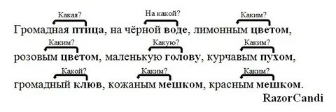 Птичьем 1 разбор