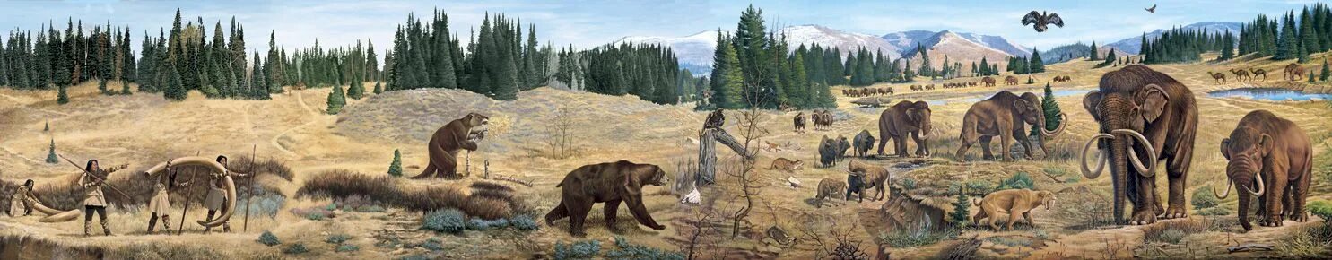 Эпохи кайнозойской эры. Кайнозойская эра период палеоген. Кайнозойская эра антропогеновый период климат. Кайнозойская эра рисунок. Палеогеновый период кайнозойской эры животные.