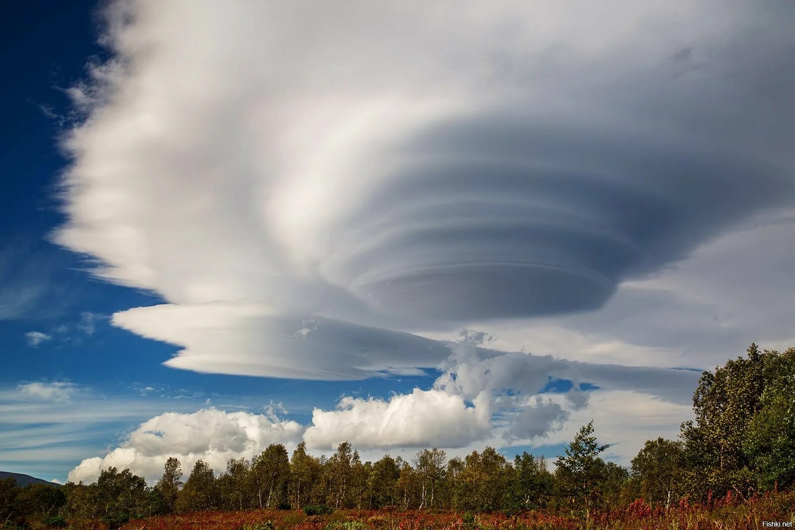 Линзовые облака в Якутии. Лентикулярные облака на Камчатке. Якутия линзовые облака редчайшее явление природы. Лентикулярные (линзовидные) облака. Дика тучи