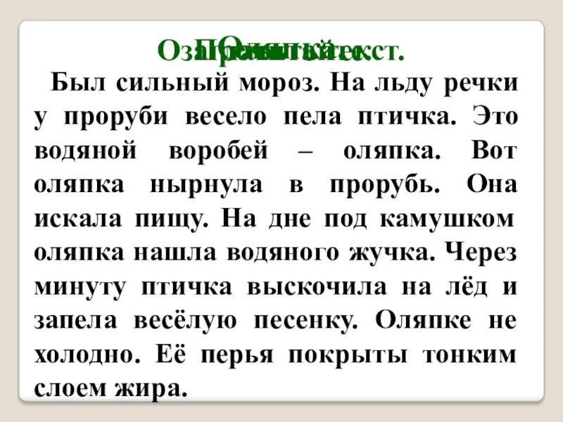 Оляпка бианки 3 класс. На снегу оляпка распевала негромкую песенку. Оляпка текст 3 класс русский язык. Оляпка на снегу. Изложение русский язык 2 класс канакина.