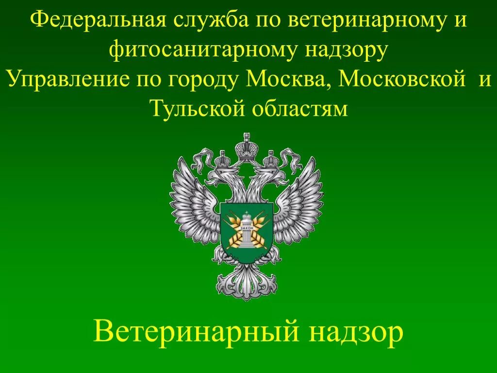 Ветеринарный надзор организации ветеринарного надзора. Федеральная служба по ветеринарному и фитосанитарному надзору. Службы по ветеринарному и фитосанитарному надзору. Россельхознадзор ветеринарный надзор. Службы Россельхознадзора.