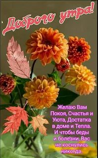 Доброе утро среды сентября