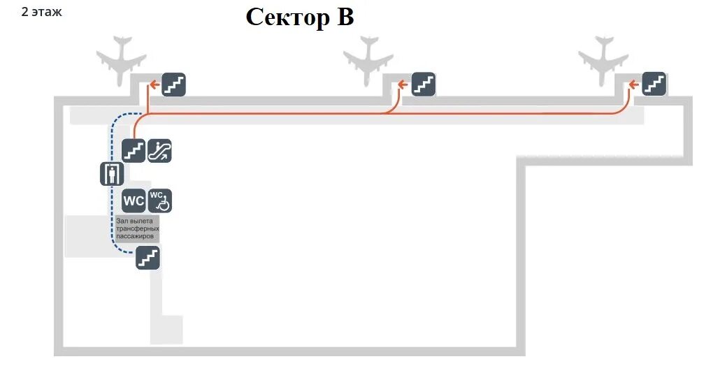 Схема аэропорта Толмачево Новосибирск терминал а. Схема Толмачева аэропорт. План аэропорта Толмачево Новосибирск. Схема Толмачева аэропорт Новосибирск. Автобус из аэропорта новосибирска