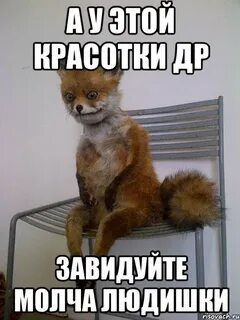 Молчу дура