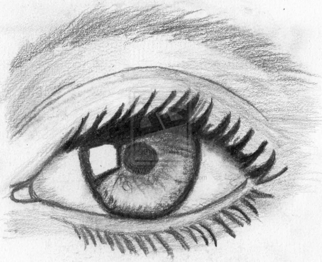 Drawing description