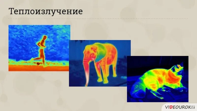 Теплоизлучение это. Теплоизлучение. теплоизлучение это в медицине. теплоизлучение человека. теплоизлучение это биология.