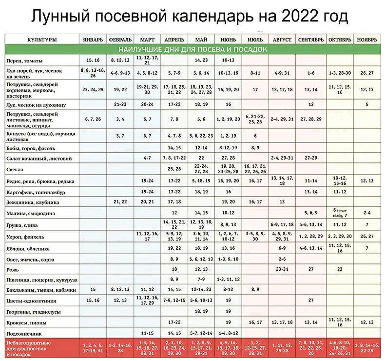 Когда можно садить по лунному календарю