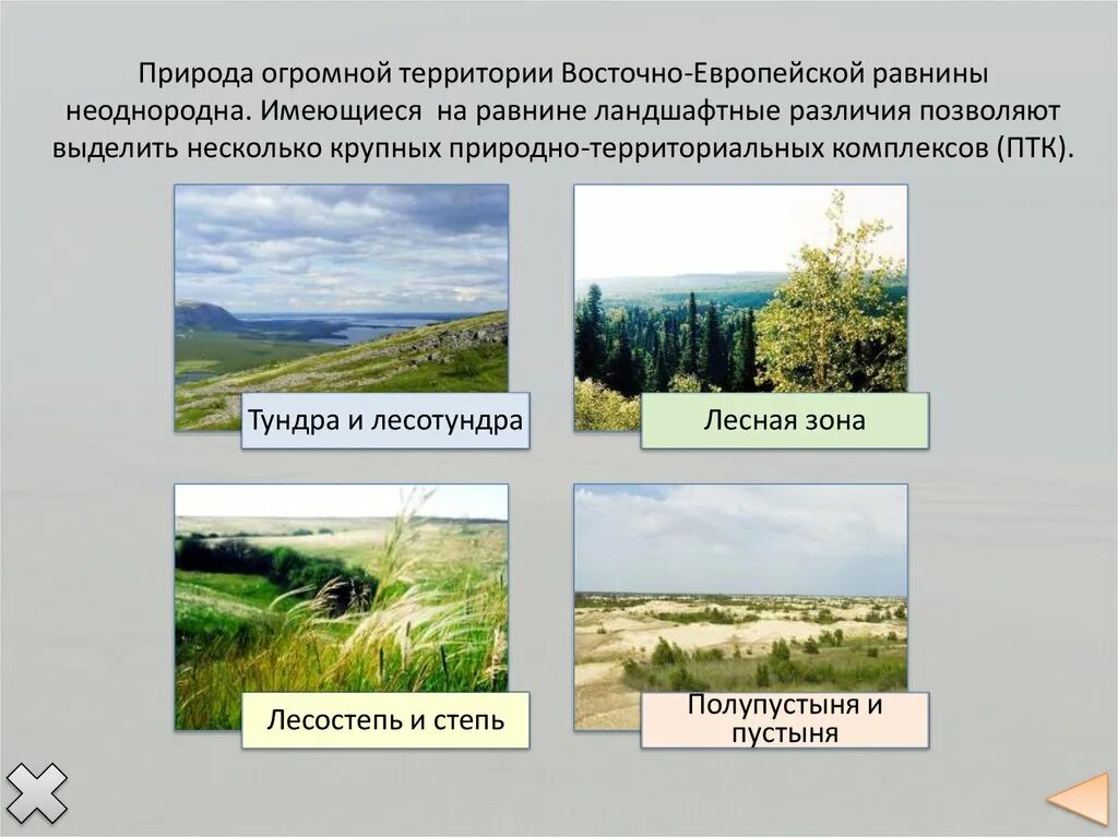 Положение в природных зонах восточно европейской. Природно-территориальный комплекс Восточно-европейской равнины. Природные комплексы равнины. Природные комплексы Восточно европейской равнины. Восточно европейская равнина 8 класс.