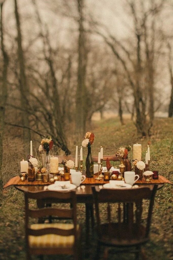 Сервировка стола на природе. Праздничный стол на природе. Накрытый стол на природе. Ужин на природе.