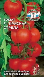 Томат красная стрела урожайность