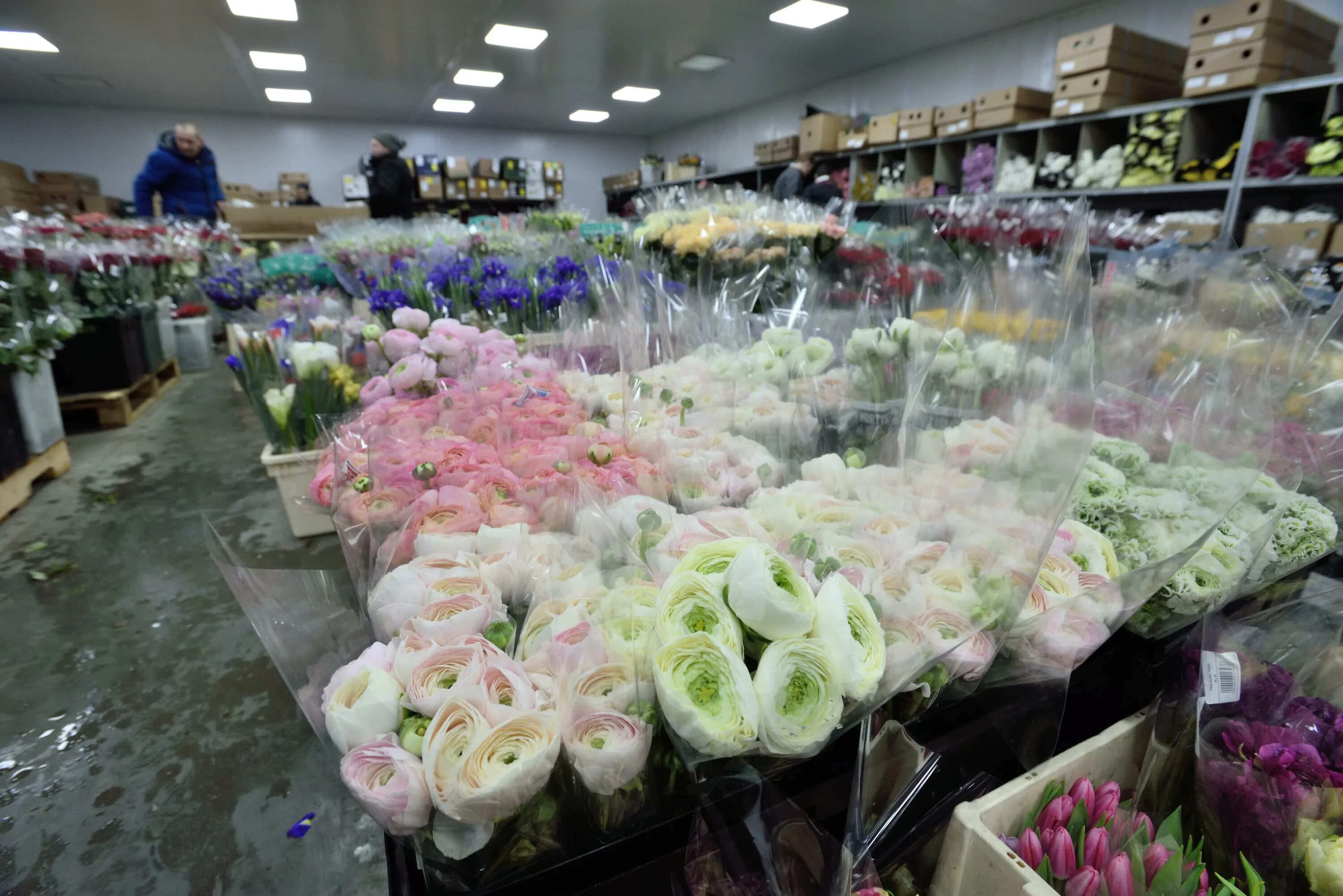 Магазин цветов поштучно