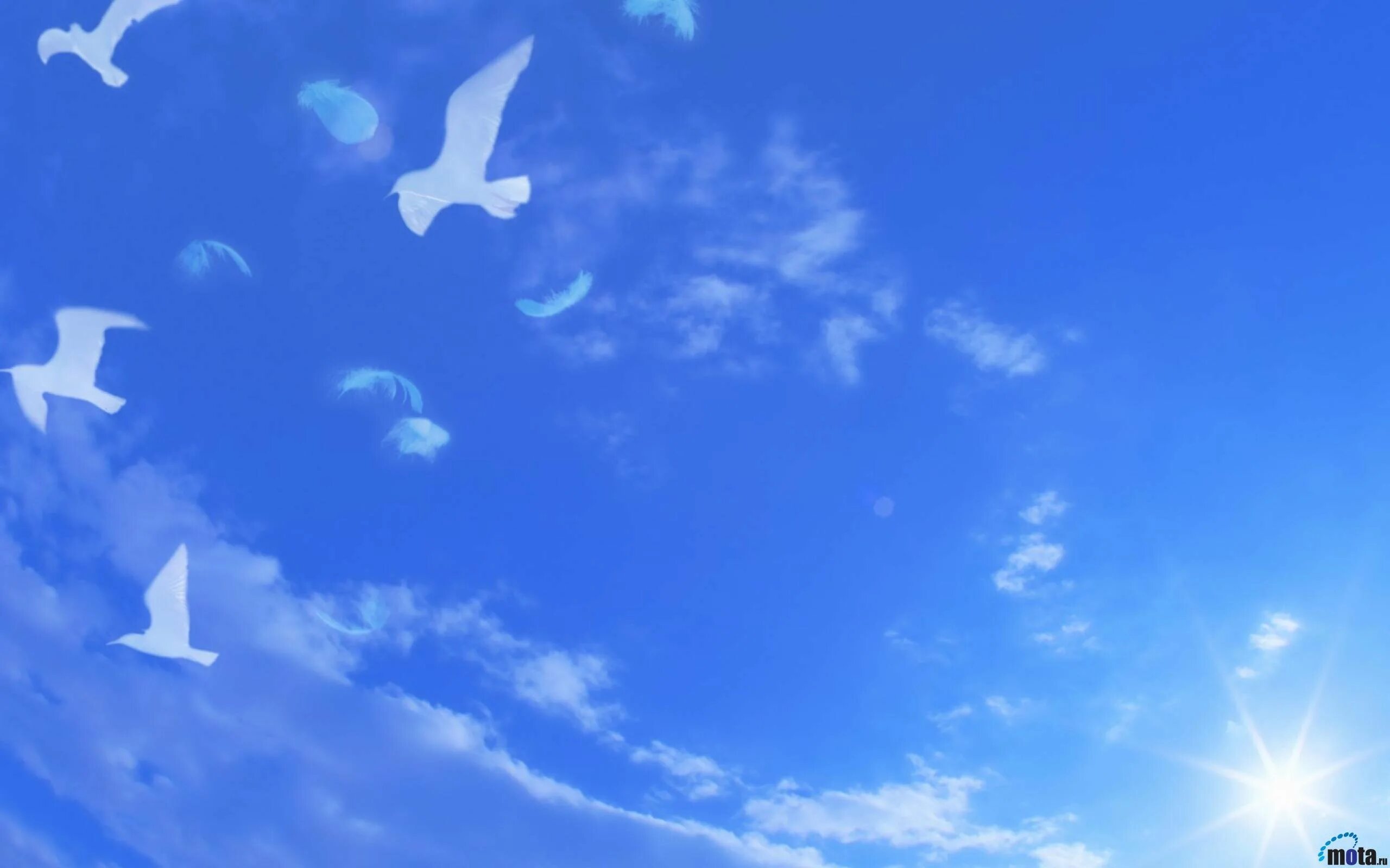 Голубое небо. Голубое мирное небо. Голубое небо с голубями. Небесный фон для презентации. Мама говорила и без него небо синее