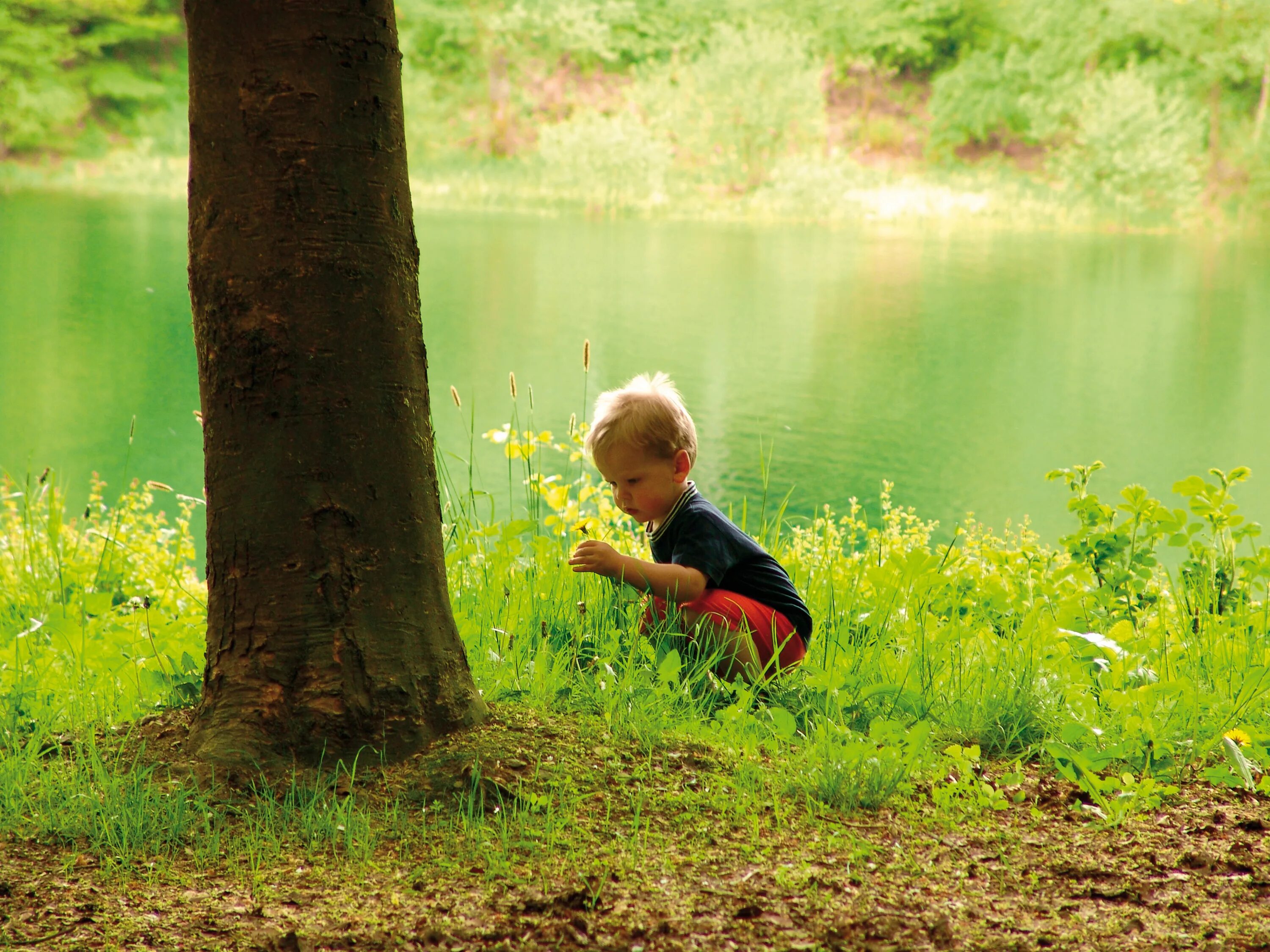 Child nature. Дети и природа. Бережное отношение к природе. Любовь человека к природе. О бережном отношении к природе.