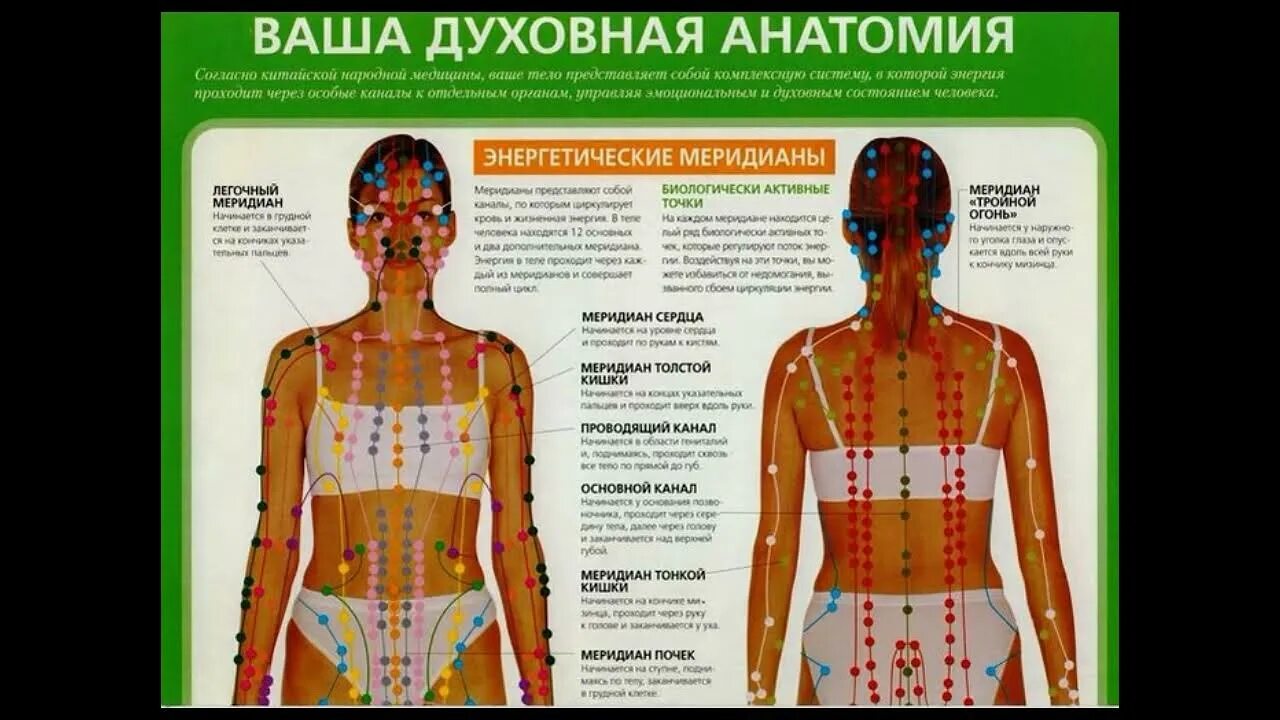 Каналы китайской медицины. Энергетические меридианы человека китайская медицина. 12 Меридианов человека по китайской медицине. 12 Энергетических меридианов человека. Энергетические меридианы тела человека схема.