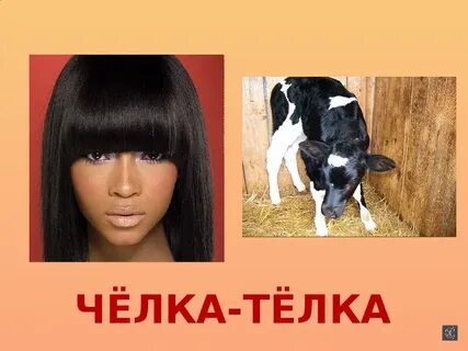 Текст челка