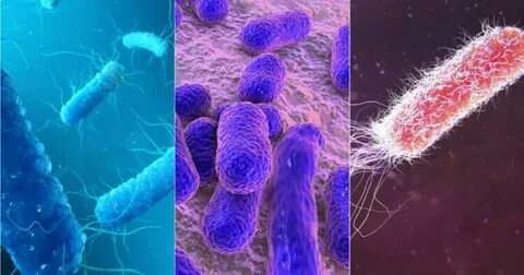 40-тан асқанға арналған секс туралы бейне