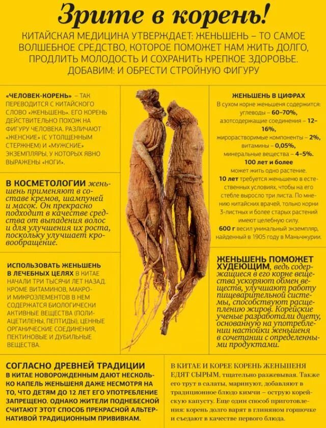 Женьшень (таблетки 350 мг n30) витамер/парафарм. Целебные свойства женьшеня. Целебные свойства женьшеня. Польза женьшеня для организма. Польза женьшеня для организма.