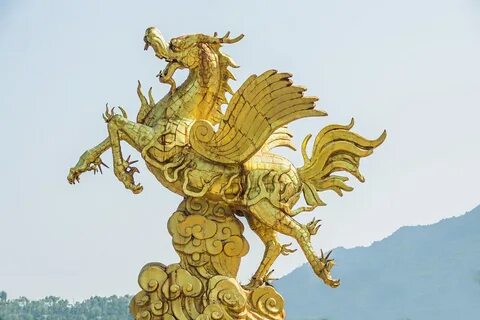 5 золотых драконов