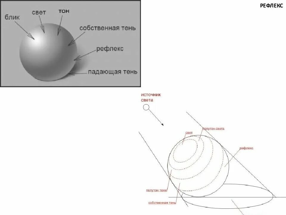 Шар тень полутень блик рефлекс. Схема тень полутень рефлекс блик. Схема свет тень полутень рефлекс. Блик тень полутень рефлекс в рисунке. Схема света и тени