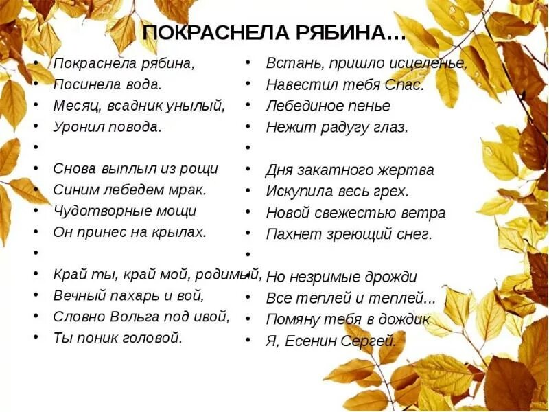 Срубил рябину отец по пьянке. Стихи Есенина про осень. Есенин стихи про осень. Стих рябина Есенин.