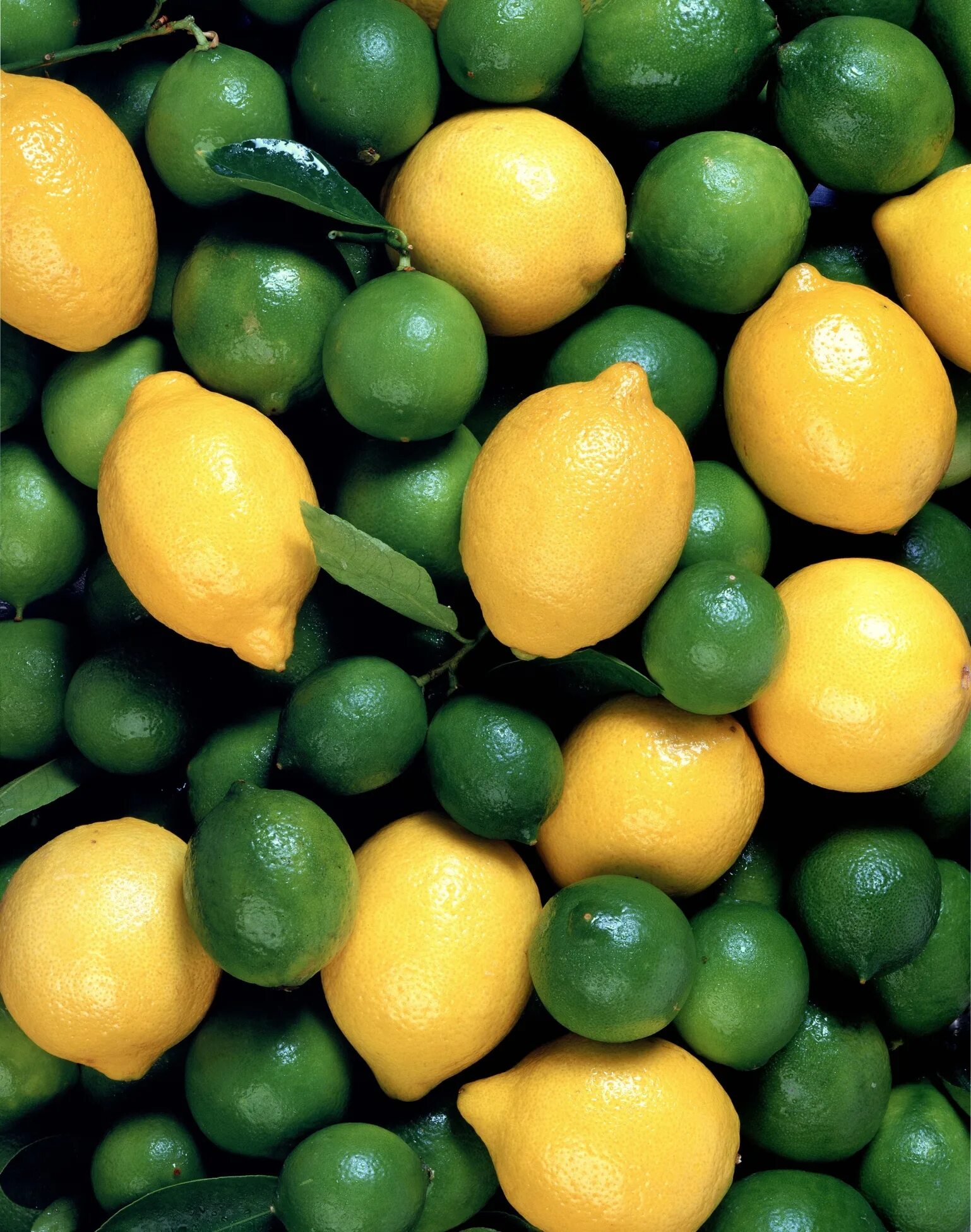 зелёный цитрус 4. лаймы. зеленые ягоды. лайм. лайм фрукт.