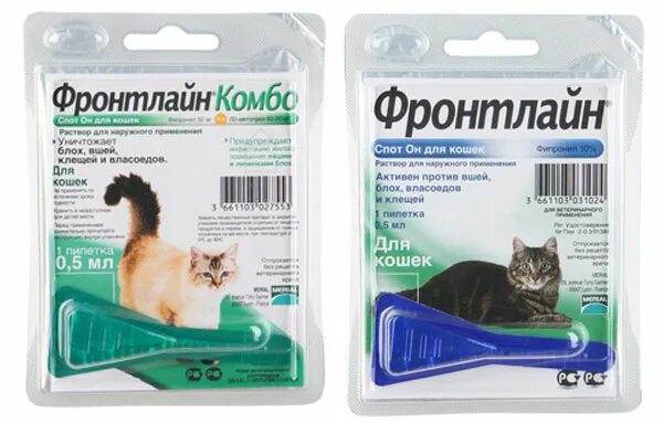 Как работают капли от блох на холку. Фронтлайн комбо для кошек. фронтлайн комбо 0.5 мл. капли на холку с фипронилом. фронтлайн для маленьких котят.