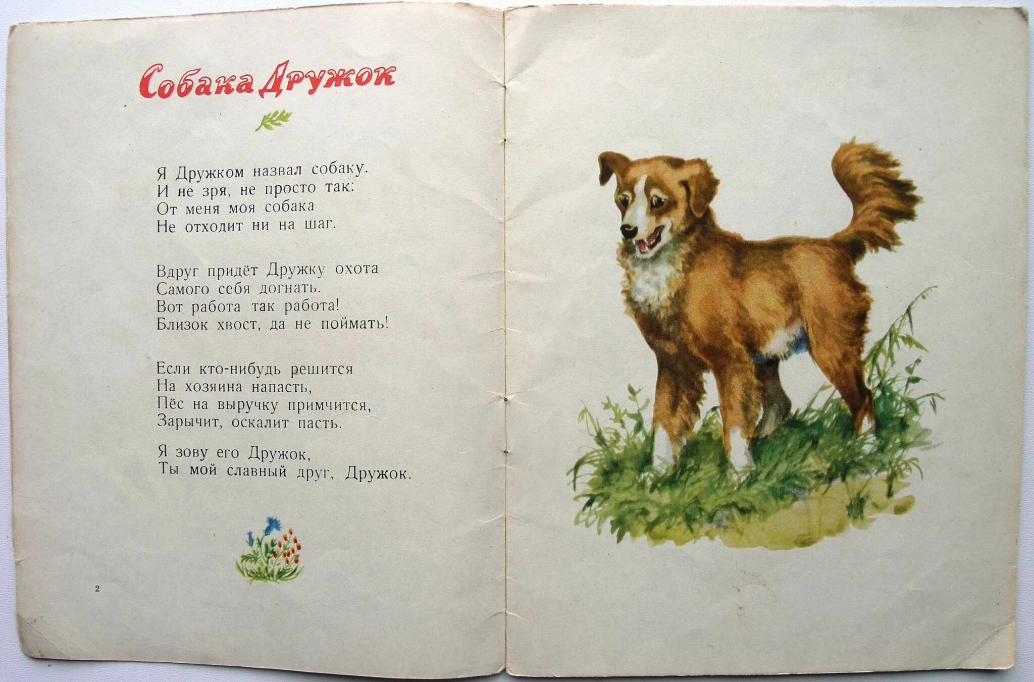 И крепко запомни дружок без затей