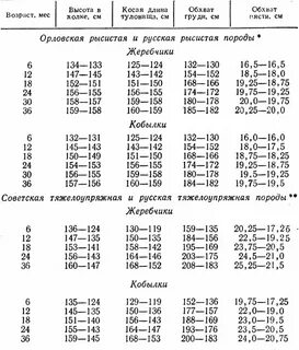 Таблица роста лошадей