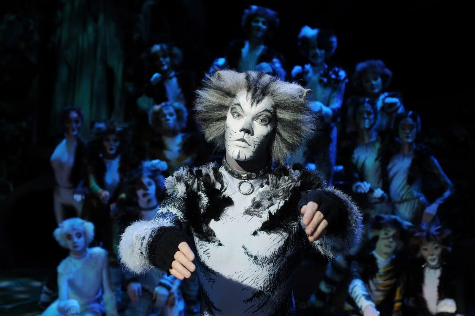 Мюзикл л уэббера. Cats эндрю ллойд уэббер. мюзикл кошки манкустрап. эндрю уэббер мюзикл кошки. эндрю ллойд уэббер мюзиклы.