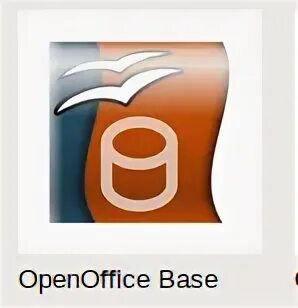 Org base