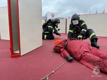 Профессиональная подготовка мчс
