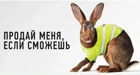 Спрячься если сможешь