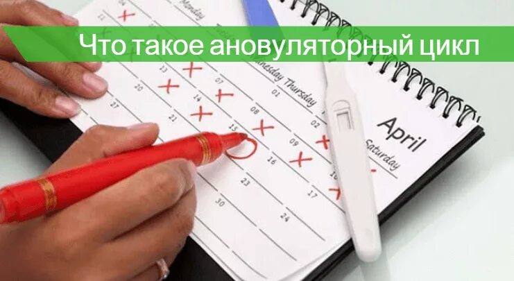 Цикл после ановуляторного. Ановуляторный цикл. ановуляторный менструационный цикл. ановуляторный цикл что это такое простыми словами. ановуляторный цикл схема.