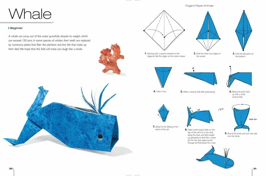 Оригами морской. Морские обитатели оригами из бумаги для детей схемы. Простое оригами. Оригами морские животные. Оригами на морскую тему.
