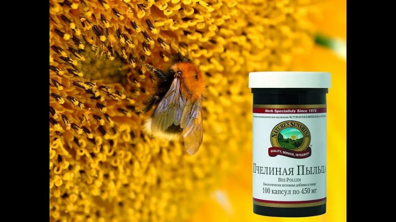 Пчелиная пыльца (Bee pollen). Би Поллен НСП. Цветочная пыльца НСП. Пчелиная пыльца НСП. Пыльца витамины