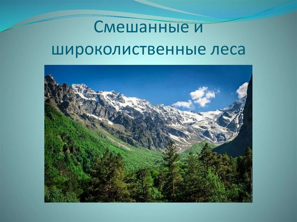 Природная зона россии области высотной поясности. Широколиственные леса Высотная поясность. Горные территории с ВЫСОТНОЙ поясностью в России. Горные территории с ВЫСОТНОЙ поясностью растения. Растительный мир ВЫСОТНОЙ поясности.