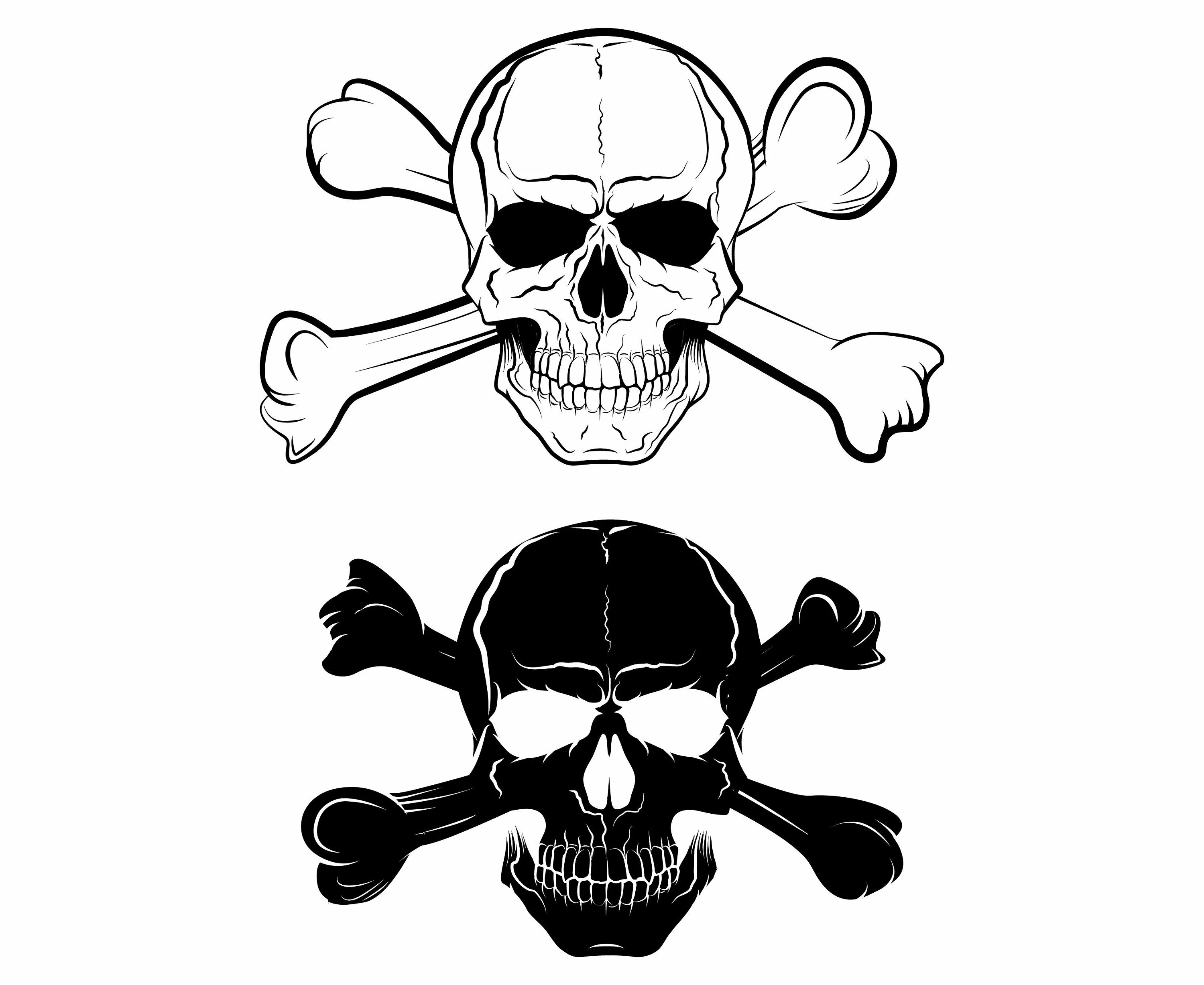 Рисунки эскизы скелета и черепа. Череп с костями. Череп со скрещенными костями. Череп вектор. Череп контур.