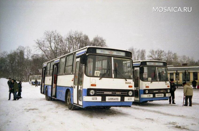 Автобус луга дзержинского. Имидж Луга автобусы. Голуб автобус Луга. Автобусы в Луге году. История пассажирского транспорта Ленинградской области.