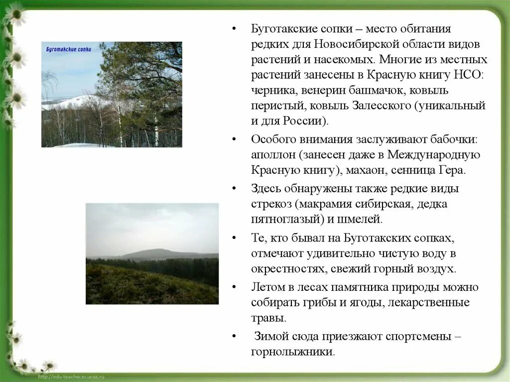 Новосибирская область описание