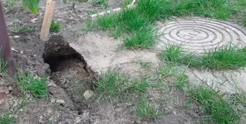 Опасный двор