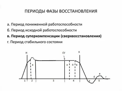 В какой стадии восстановление