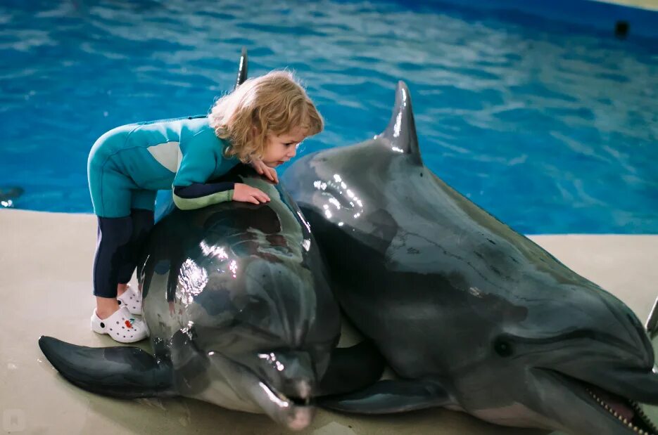 Удовольствие с дельфином. Дэвид Натансон дельфинотерапия. Дельфины и люди. Общение дельфинов. Фотосессия с дельфинами.