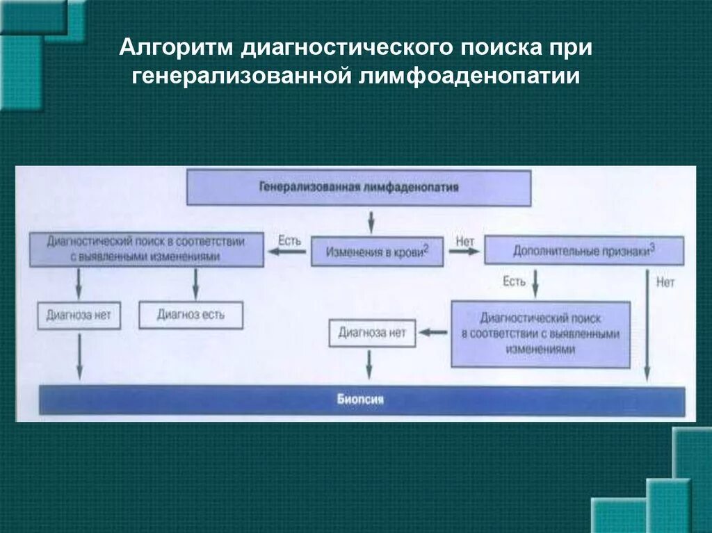 Диагностический алгоритм. Алгоритм диагностического поиска. Алгоритм диагностики при лимфоаденопатиях. Синдром лимфаденопатии дифференциальный диагноз. Инфекционные лимфаденопатии