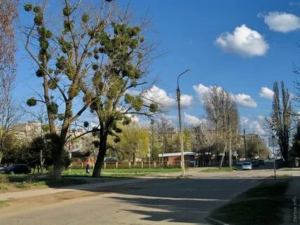 Года в белореченске